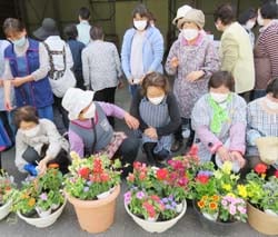 寄せ植えを並べて観賞する様子