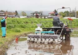 水稲種もみの播種を行う部会員ら（富士見町で）