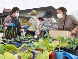 自家栽培した苗を買い求める来場者ら