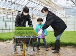 水稲苗を引き取る生産者
