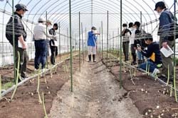 圃場を見学しながら先輩農家の説明を聞く受講生(撮影地：下伊那郡豊丘村）
