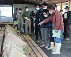 出荷規格を確認する生産者