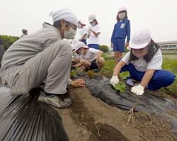 真剣な表情で苗の知識を学ぶ受講者