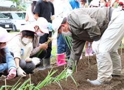 松本一本ねぎの定植を行う児童たち（13日、松本市にて）
