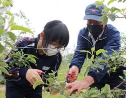 上條さんに手ほどきを受けながら作業をすすめる生徒