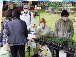 菊苗の購入者に仕立て方をアドバイスする河西会長（中央）