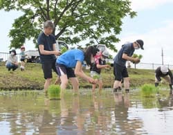 家族で田植えを楽しむ参加者