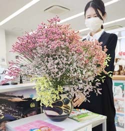 店舗入口の特設スペースに管内産スターチスを飾った富士見町中央支所