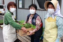 野菜苗を配布する会員ら