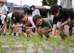 地元農家に見守られ笑顔で田植えに取組む児童（豊田小）