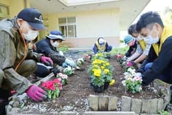 花壇に彩りよく花苗を定植する参加者