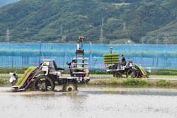 無人田植機と有人田植機の競演(長野市篠ノ井、5月31日)