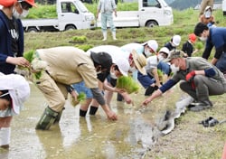 苗を植える位置を示す青壮年部員