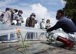 定植後の苗の管理方法を学んだ現地指導会