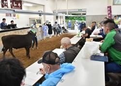 多くの購買者が来場して開催された6月市場
