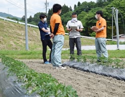 生産者と生育状況を確認する担当者ら