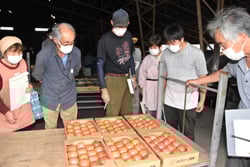 出荷物を確認する生産者