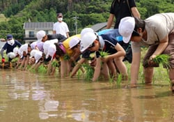 苗を植える児童ら
