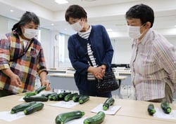 規格を確認する生産者