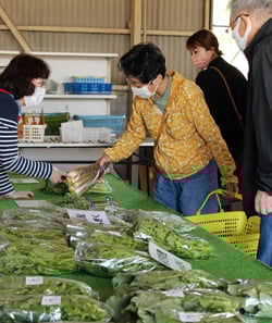 新鮮な野菜を購入する利用者（5月28日、御代田町JA三ツ谷集荷所）