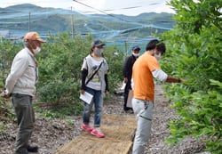 栽培方法について意見を交わす生産者ら