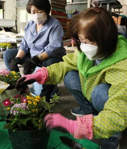 バランスを確認しながら寄せ植えする参加者（6日　松本市で）