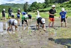 5年1組児童の田植え体験
