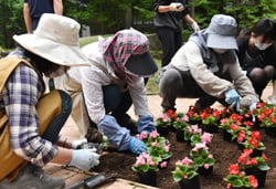 花の定植作業を進める女性部員