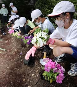 花壇に花苗を定植する児童（長野県茅野市宮川小学校で）