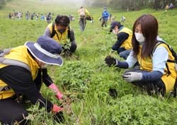 揃いの黄色いベストを着用し、山野草の植栽活動に励むJA職員