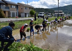 印に沿って田植えする児童たち（伊那市高遠町）
