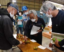 出荷規格を確認する生産者