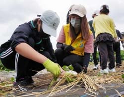 定植を行うに児童に声をかけるJA職員（右）