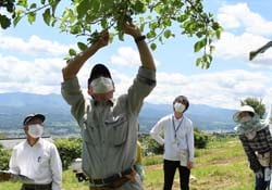 講師の説明を熱心にきく受講生ら