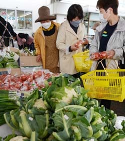 新鮮な野菜を買い求める買い物客