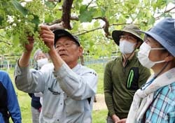 房切りの説明を真剣に聞く会員
