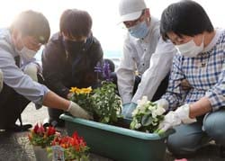 協力して寄せ植えを行う参加者