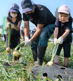 参加者に収穫の指導をする百瀬支部長