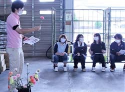 出荷基準を確認する目ぞろえ会（6月20日佐久穂町みなみ花き共選所）