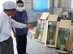 出荷規格を確認する部会員