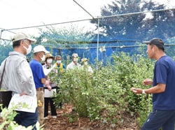 神田貴雄さんの圃場で視察をする部会員ら