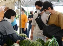 会話を楽しみながらすいかを選ぶ来場者