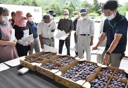 出荷物を見本に出荷規格を確認した目揃会
