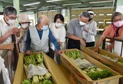 出荷物を見本に情報共有する生産者