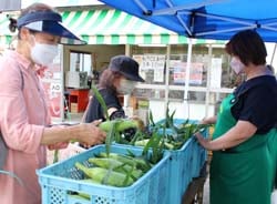 買い物を楽しむ来店客（21日　塩尻市で）