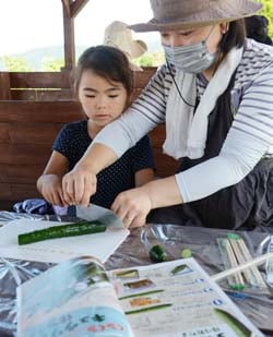 くるくるキュウリ作りに挑戦する加々美さん親子