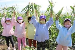 収穫したトウモロコシを掲げる園児たち