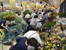 多くの来店客でにぎわうお花市