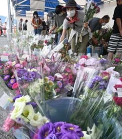 豊富な花が並ぶ農産物直売所アグリながぬまの売り場