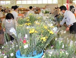 盆花を買い求める来店客